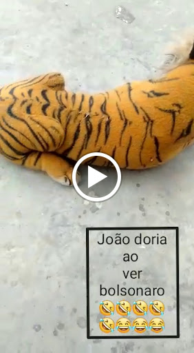 Pet Supply Store «Pet Supplies Plus», reviews and photos, 135-25 79th St, Howard Beach, NY 11414, USA