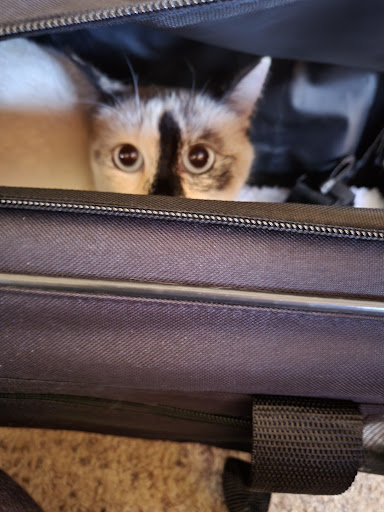 Pet Supply Store «Petsense Dublin», reviews and photos, 2005 Veterans Blvd, Dublin, GA 31021, USA