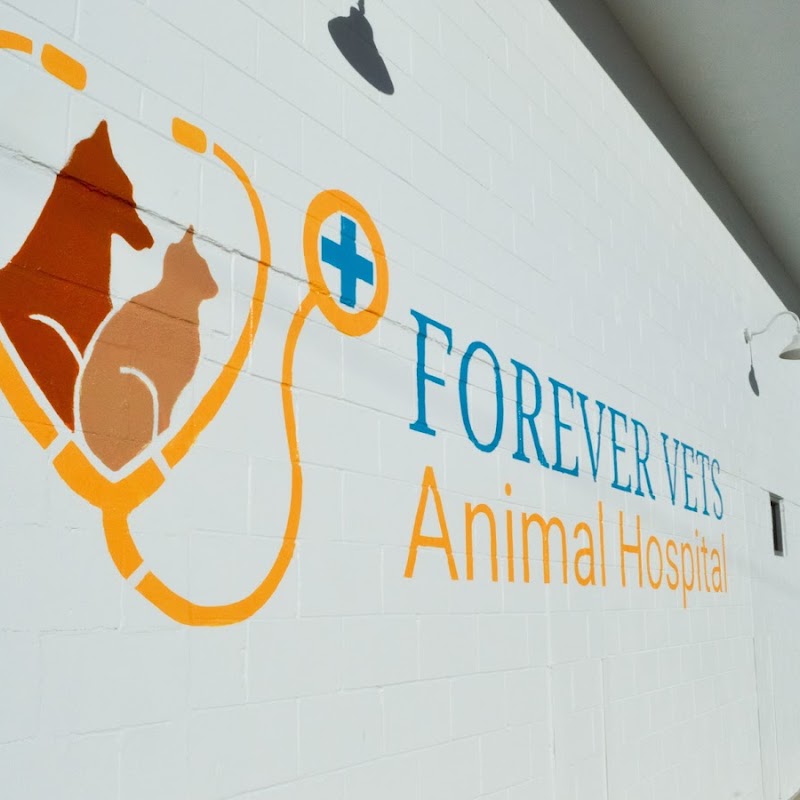Forever Vets Animal Hospital at Riverside