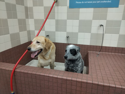 Pet Food Express image