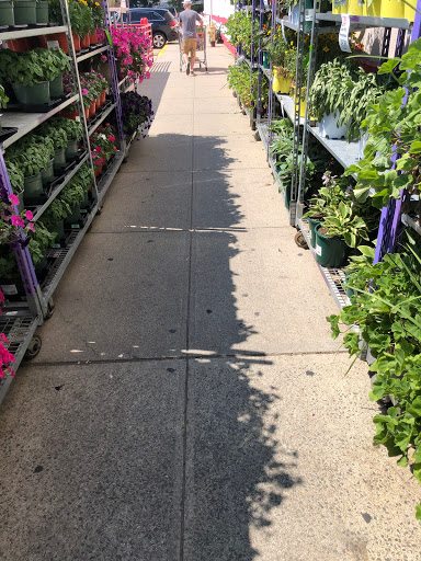 Warehouse club «BJ’s Wholesale Club», reviews and photos, 40 Black Rock Turnpike, Fairfield, CT 06825, USA