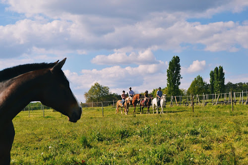 Ecuries de Brandeau - Centre Equestre à Les Salles-de-Castillon