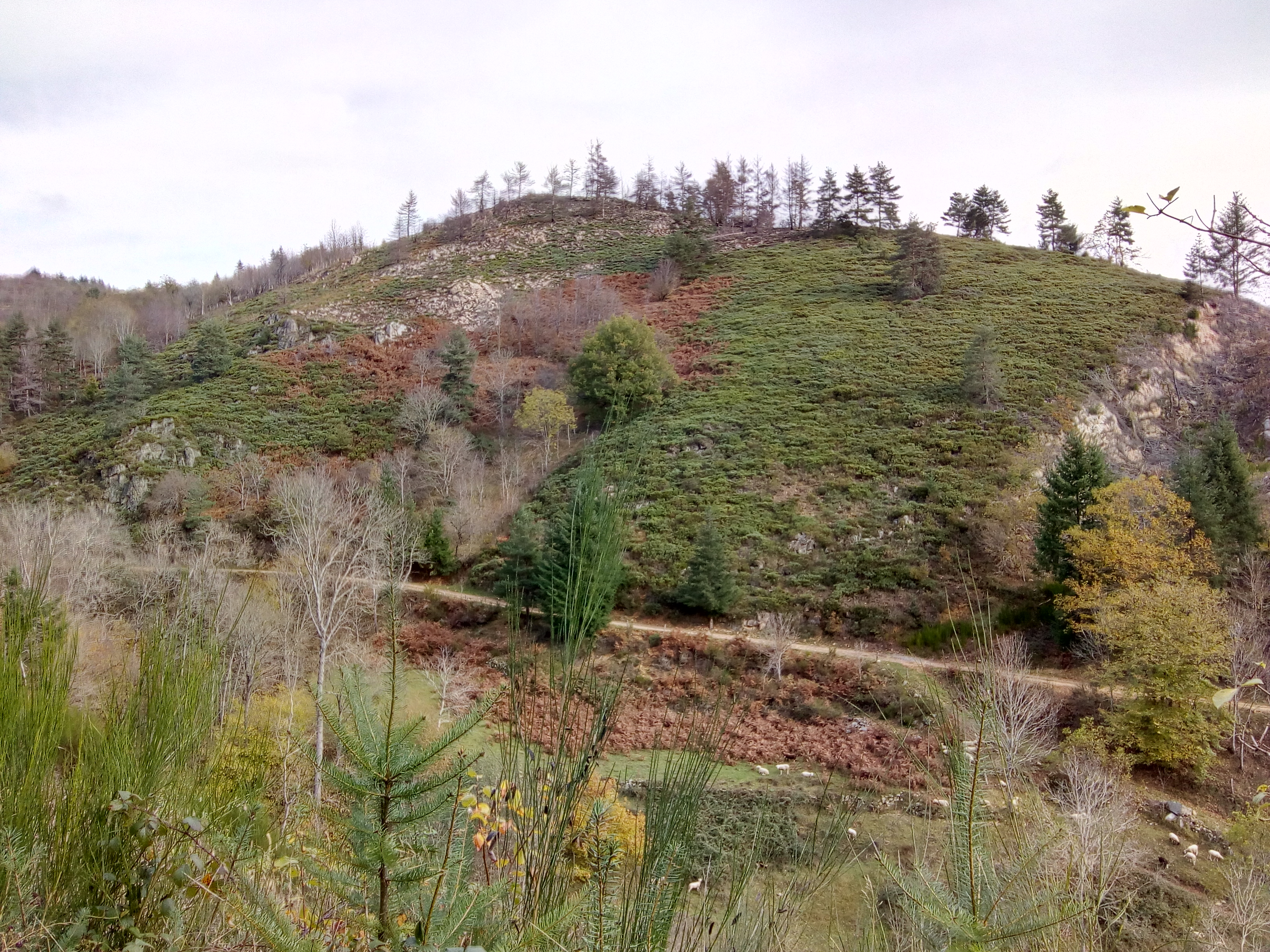 Photo n° 1 de l'avis de Berard.a fait le 11/11/2019 à 18:07