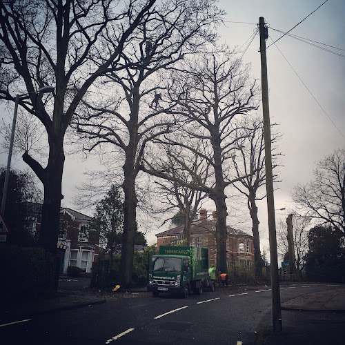 Comments and reviews of Treescapes NI - Belfast & Northern Ireland's Premier Tree Service Company