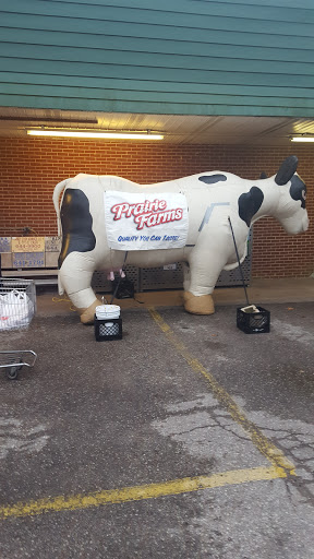 Grocery Store «E W James & Sons Supermarkets», reviews and photos, 1301 W Wood St, Paris, TN 38242, USA