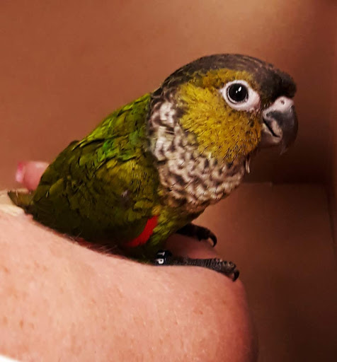 Pet Supply Store «Petco Animal Supplies», reviews and photos, 3480 Wilkes Barre Blvd, Wilkes-Barre, PA 18702, USA