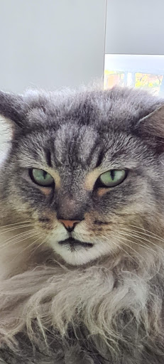 Tierarztpraxis Uwe Tiedemann unter Lüneburg, Niedersachsen