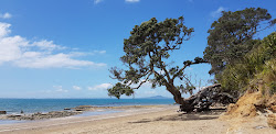 Foto af Pohutukawa Bay Beach med rummelig kyst