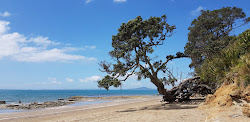 Pohutukawa Bay Beach的照片 具有非常干净级别的清洁度