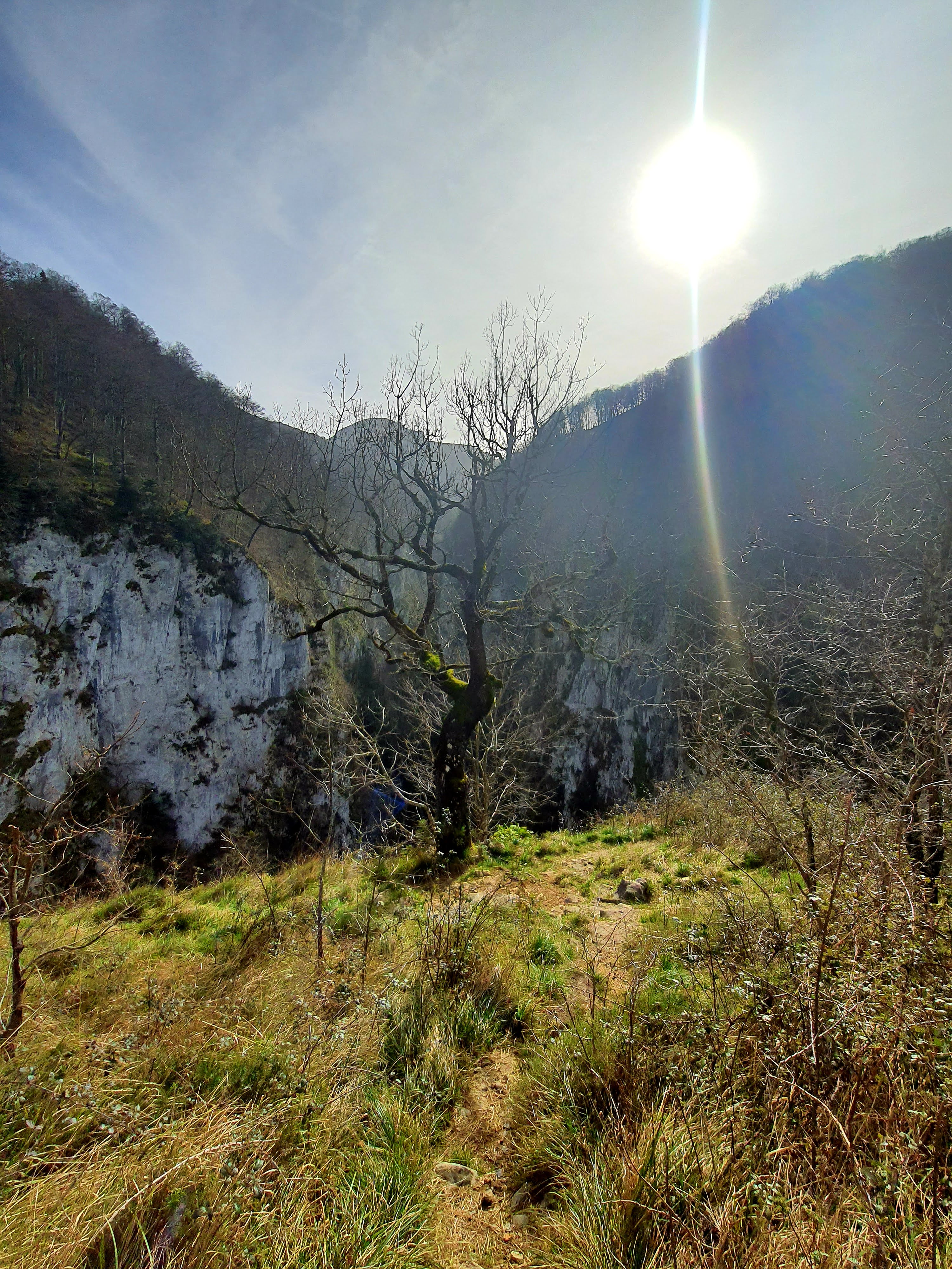 Photo n° 23 de l'avis de Sandrine.R fait le 03/03/2020 à 09:23