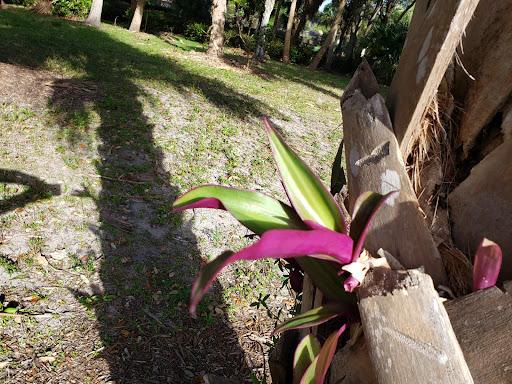 Park «Cypress Preserve Park», reviews and photos, 9020 NW 38th St, Sunrise, FL 33351, USA