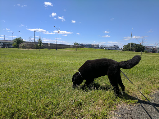 Park «Anacostia Park», reviews and photos, 1900 Anacostia Dr, Washington, DC 20020, USA