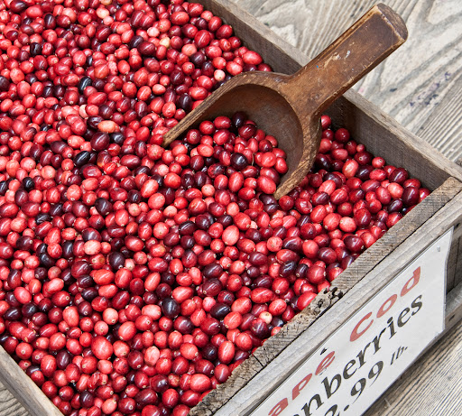 Produce Market «Idylwilde Farms», reviews and photos, 366 Central St, Acton, MA 01720, USA