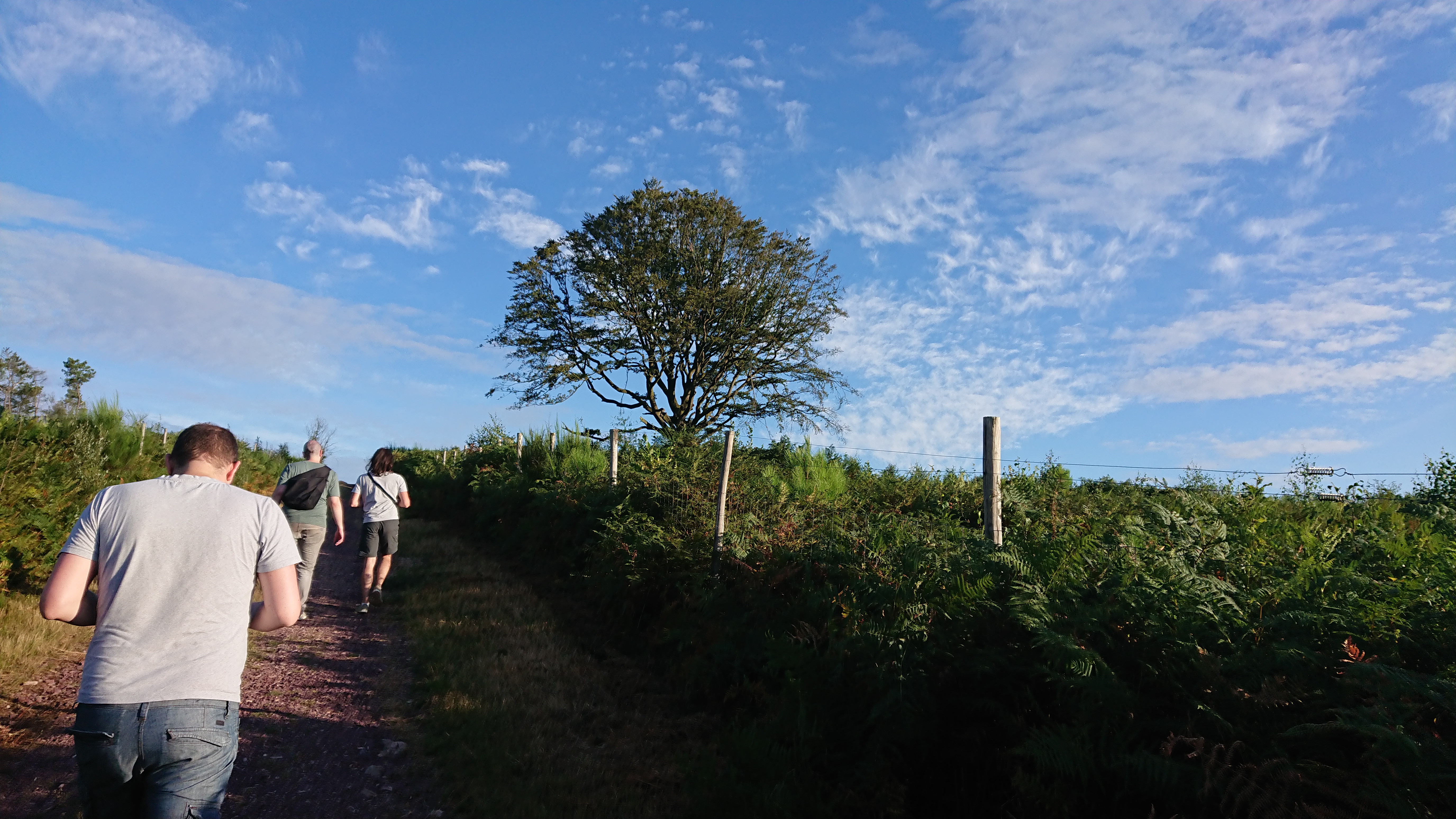 Photo n° 1 de l'avis de Olivier.U fait le 12/08/2018 à 13:41