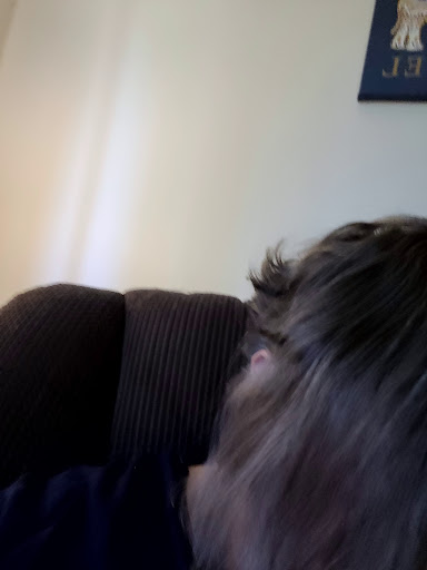 Hair Salon «Great Clips», reviews and photos, 3530 Vicksburg Ln N Ste 100, Plymouth, MN 55447, USA