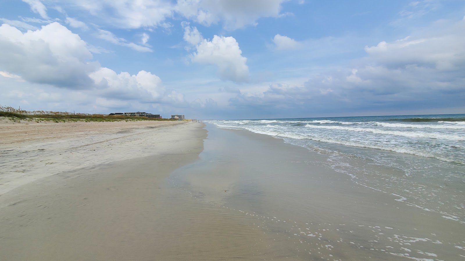 Pine Knoll Shores beach'in fotoğrafı vahşi alan