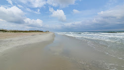Pine Knoll Shores beach'in fotoğrafı vahşi alan