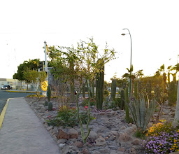 Benito Juárez Plaza photo