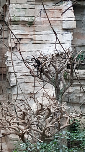 Zoo «Tropic World», reviews and photos, 3300 Golf Rd, Brookfield, IL 60513, USA