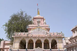 Shri 5 Navtanpuri Dham image
