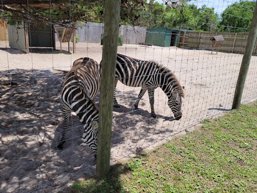 Zoo «Gulf Breeze Zoo», reviews and photos, 5701 Gulf Breeze Pkwy, Gulf Breeze, FL 32563, USA