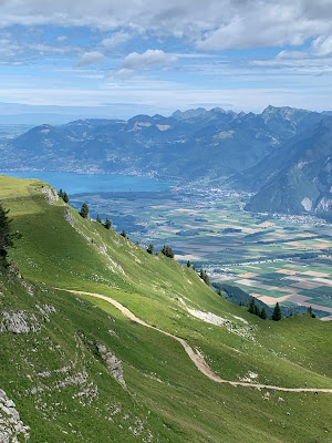 Chalet Alpaga A à Châtel