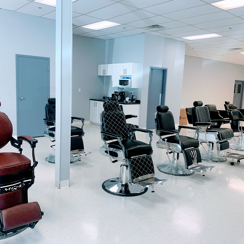 Milo Salon Equipments/ barber Chair/ Chaise De Barbier/barber Chairs/Salon Furniture