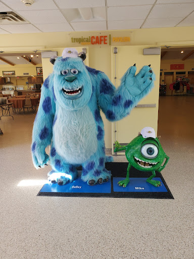 Non-Profit Organization «Camp Sunshine at Sebago Lake», reviews and photos