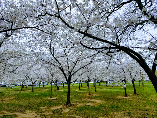 Museum «United States Holocaust Memorial Museum», reviews and photos, 100 Raoul Wallenberg Pl SW, Washington, DC 20024, USA