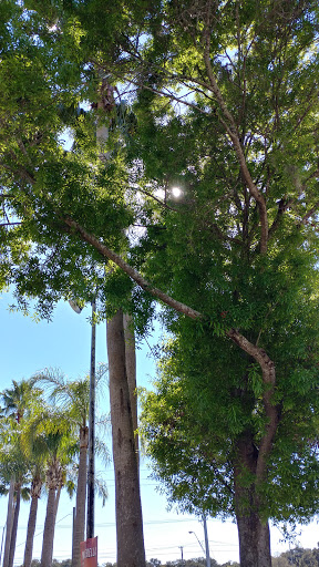 Department Store «Kmart», reviews and photos, 1602 W Brandon Blvd, Brandon, FL 33511, USA