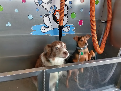 Pet Groomer «Belly scRubs Self Service Pet Wash», reviews and photos, 119 WV-34 #1, Hurricane, WV 25526, USA