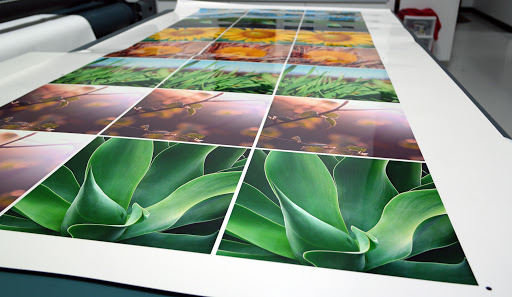 Commercial Printer «Artisan Colour Inc», reviews and photos, 8970 E Bahia Dr #100, Scottsdale, AZ 85260, USA