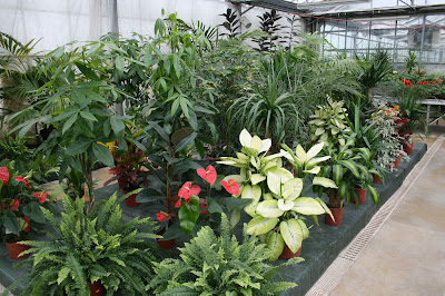 Boucard Horticulture à Lagord
