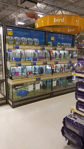 Pet Supply Store «PetSmart», reviews and photos, 934 W Street Rd, Warminster, PA 18974, USA