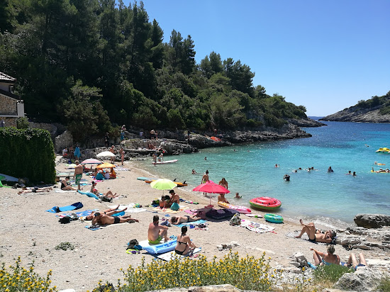 Zitna beach