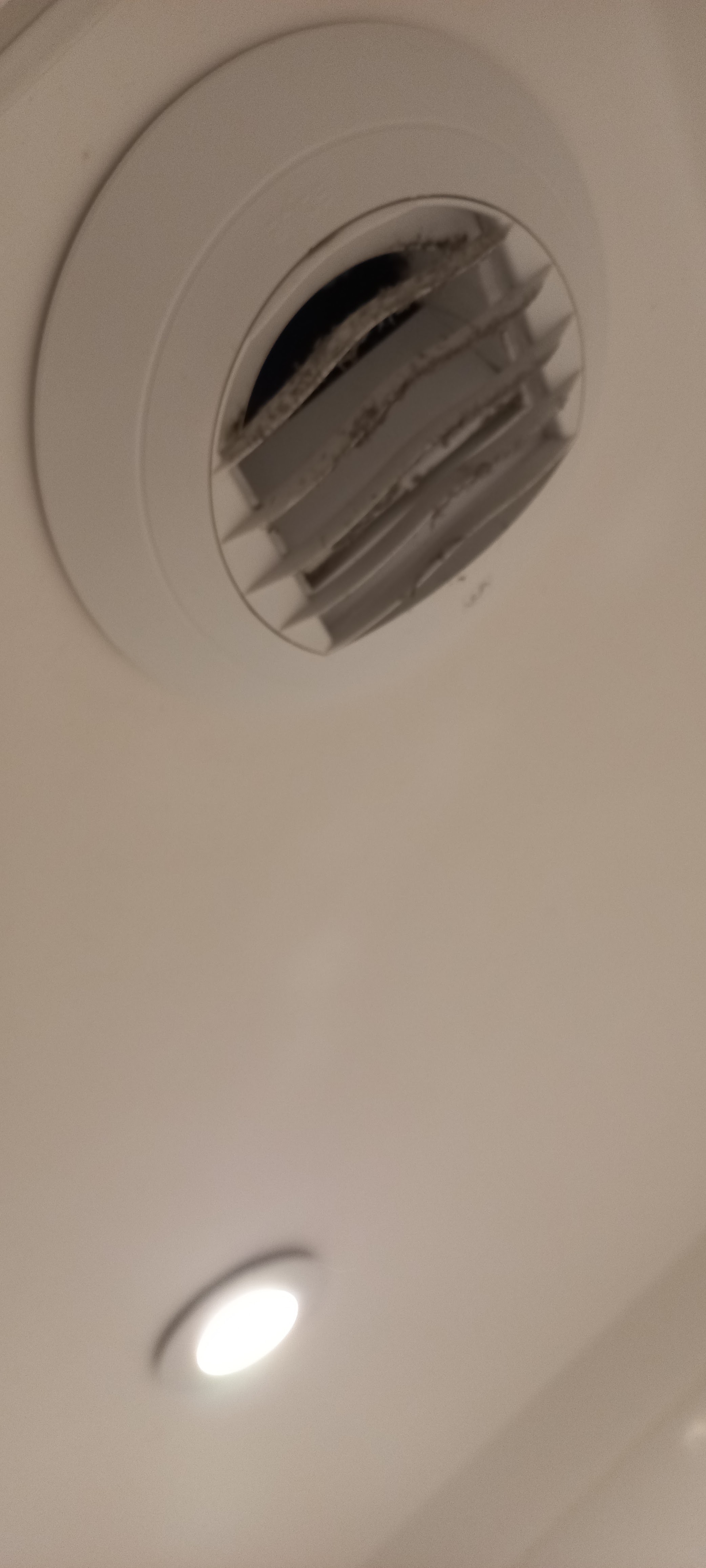 Photo n° 4 de l'avis de PASINO.U fait le 17/02/2024 à 12:47