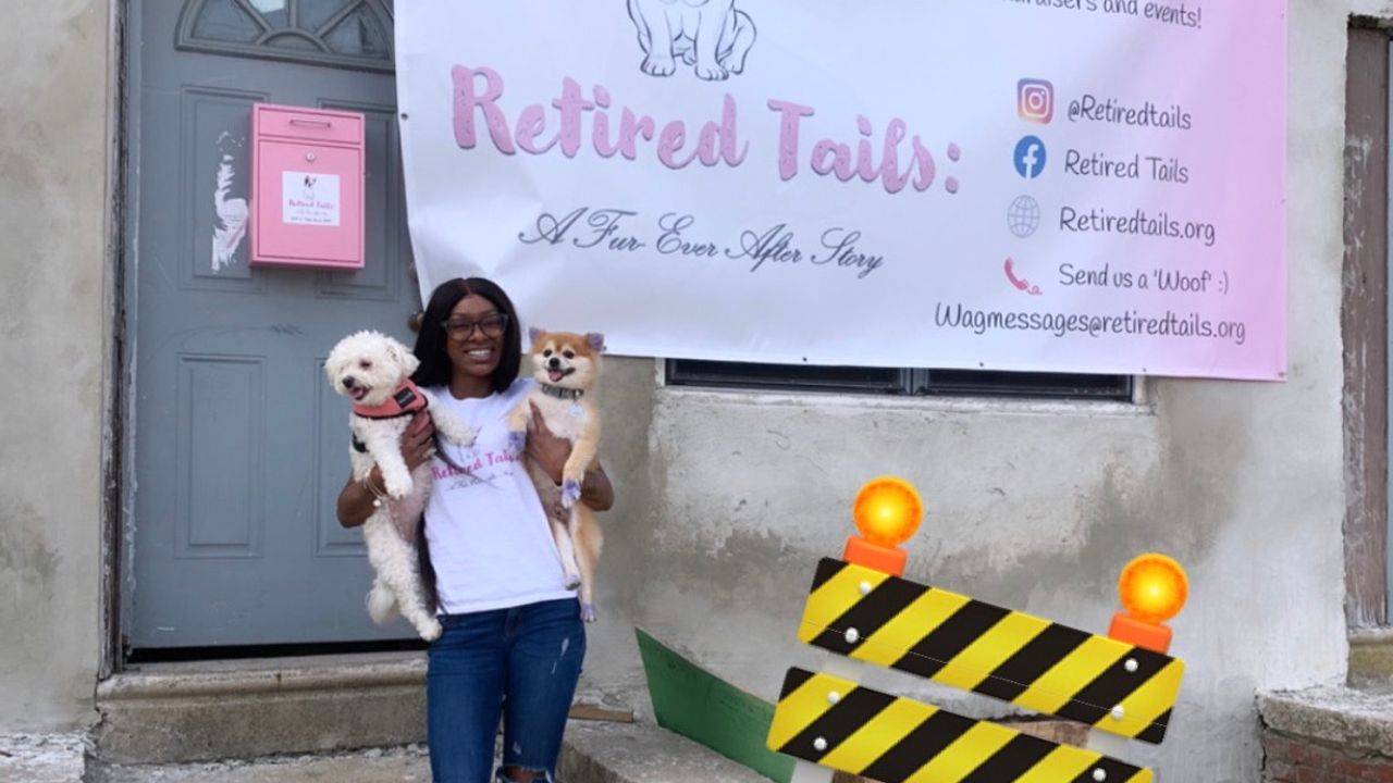 Retired Tails: A Fur-Ever After Story