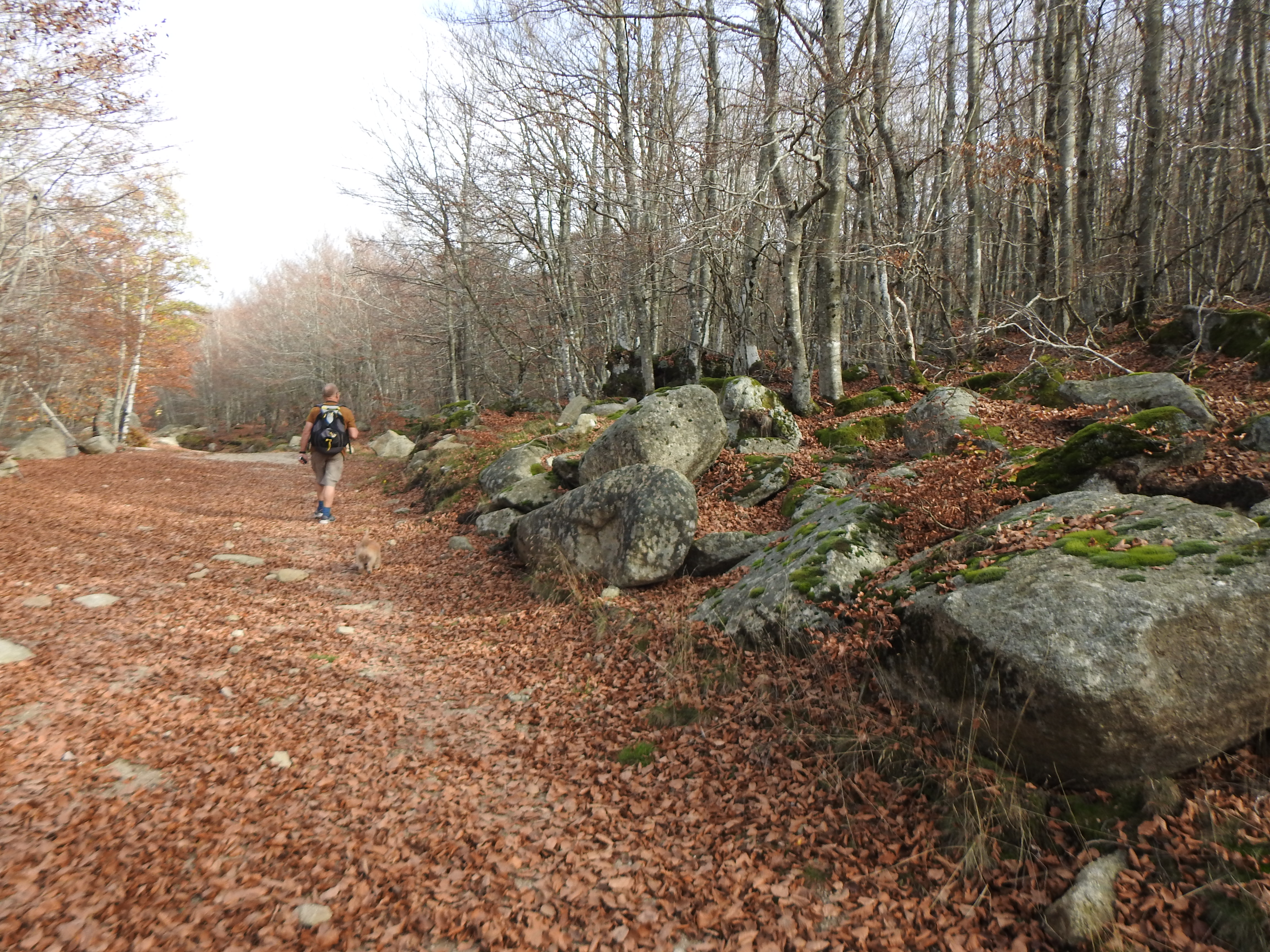 Photo n° 17 de l'avis de gerd.a fait le 11/11/2022 à 11:12