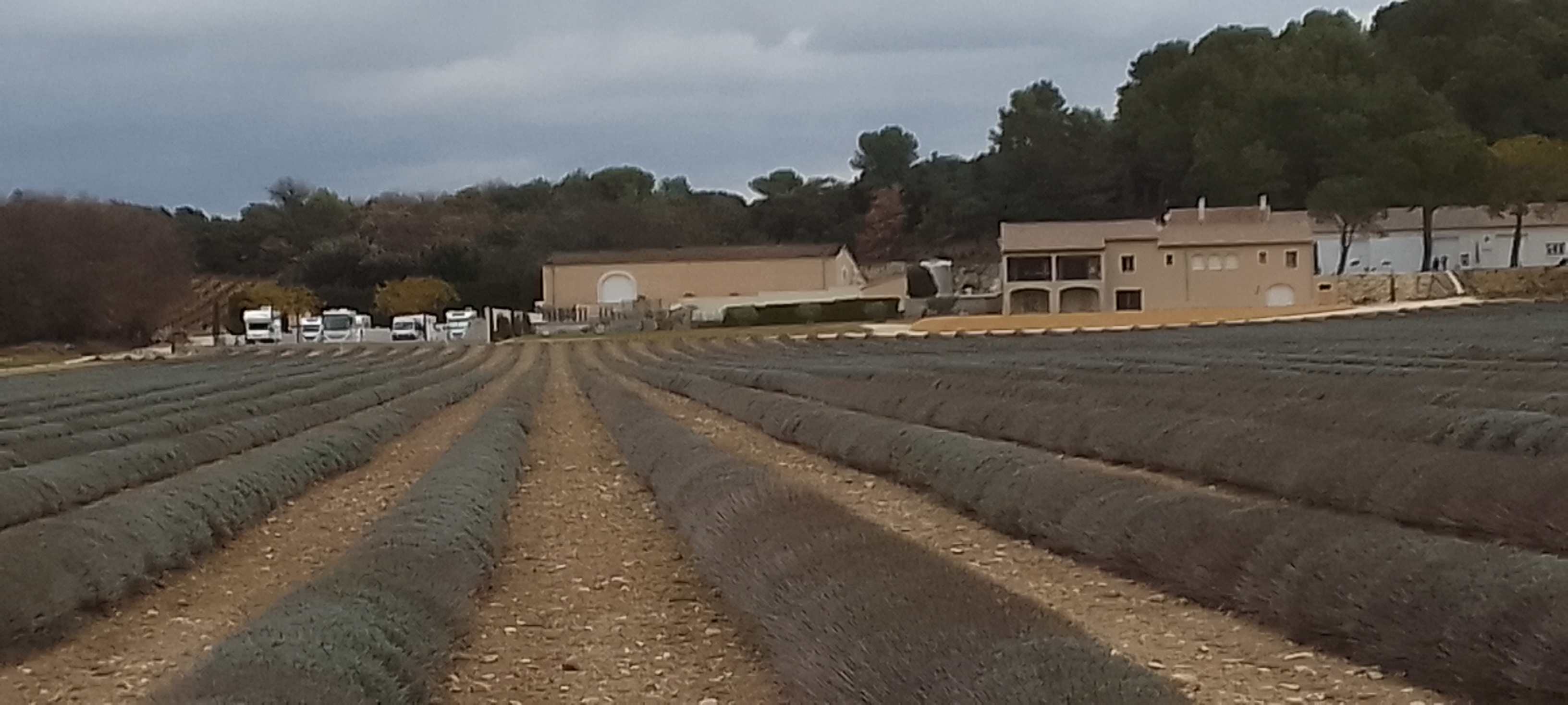 Photo n° 9 de l'avis de berard.h fait le 31/12/2023 à 15:42
