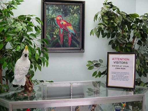 Pet Store «Adventure Birds of Bon Aqua», reviews and photos, 9600 TN-46, Bon Aqua, TN 37025, USA
