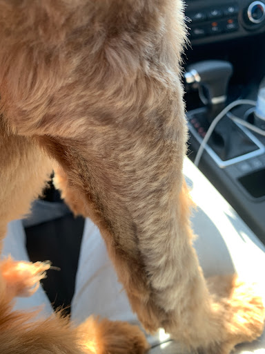 Pet Supply Store «PetSmart», reviews and photos, 4004 US-130, Delran, NJ 08075, USA