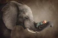 Snips and Snails Photography - newborn and baby portraiture - Car repair in Greencastle, PA, Hagerstown - Rated 4.9/5