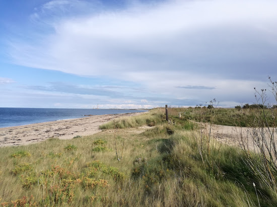 Gouberville Beach