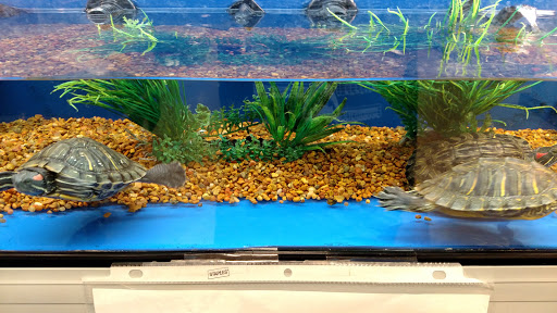 Pet Supply Store «PetSmart», reviews and photos, 475 Bank St, Waterbury, CT 06708, USA