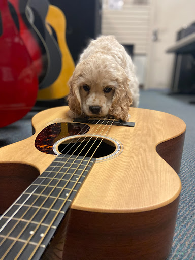 Loan Agency «Mister Money USA», reviews and photos, 1525 8th Ave, Greeley, CO 80631, USA