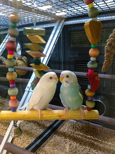 Pet Supply Store «PetSmart», reviews and photos, 5241 Monroe St, Toledo, OH 43623, USA