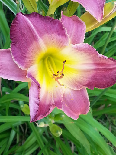 Zoo «Topeka Zoo», reviews and photos, 636 SW Zoo Pkwy, Topeka, KS 66606, USA