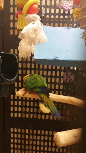 Pet Supply Store «PetSmart», reviews and photos, 2610 Eldridge Pkwy, Houston, TX 77082, USA