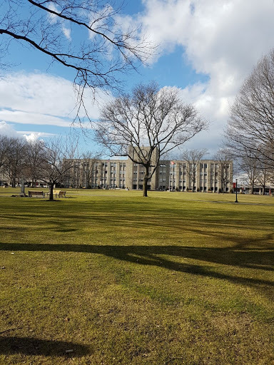 Book Store «St Johns University Queens Campus Bookstore», reviews and photos, 8000 Utopia Pkwy, Jamaica, NY 11439, USA