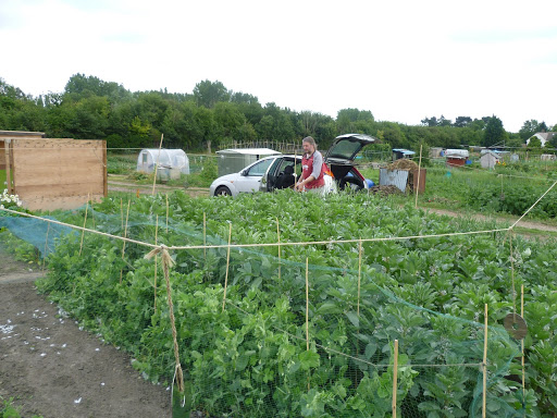 Eastern Avenue North, Kingsthorpe/St David’s Allotments